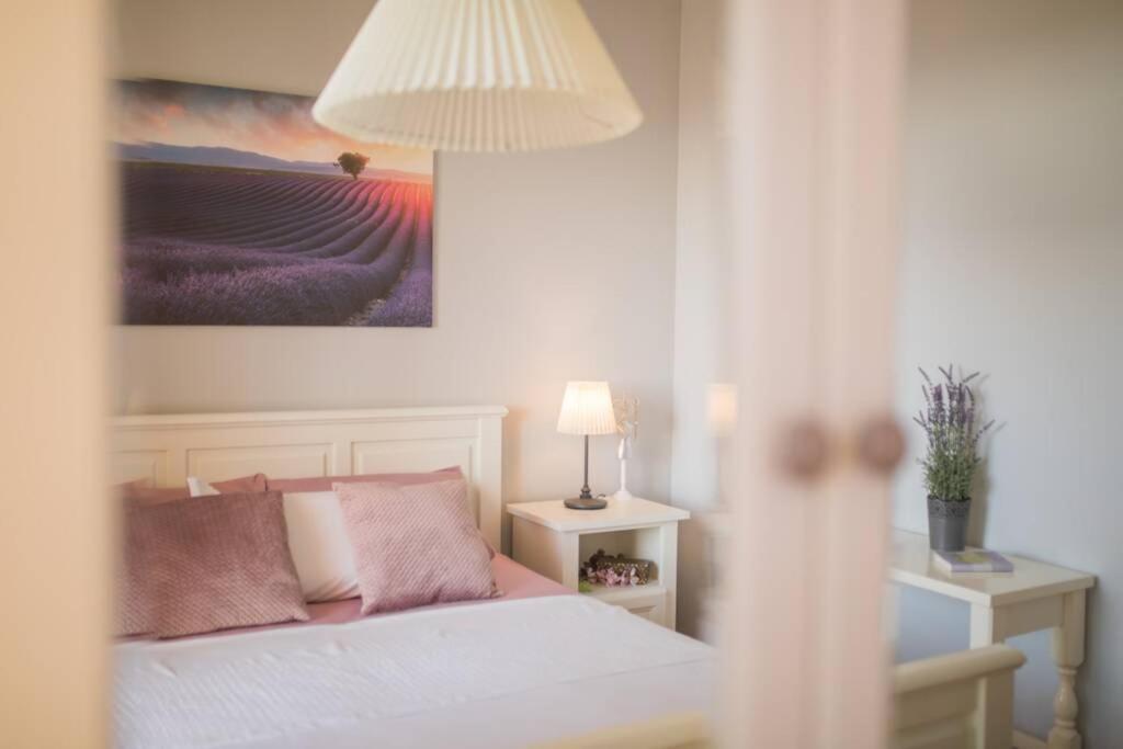 Dalma Residence Apartman Lavandella Žaborić Exteriér fotografie